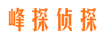 大庆市私家侦探